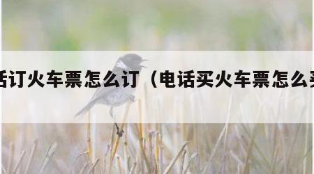电话订火车票怎么订（电话买火车票怎么买票）