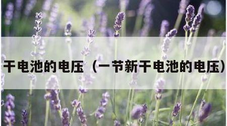 干电池的电压（一节新干电池的电压）
