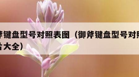 御斧键盘型号对照表图（御斧键盘型号对照表图片大全）