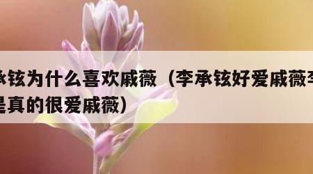 李承铉为什么喜欢戚薇（李承铉好爱戚薇李承铉是真的很爱戚薇）