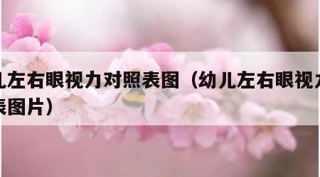 幼儿左右眼视力对照表图（幼儿左右眼视力对照表图片）