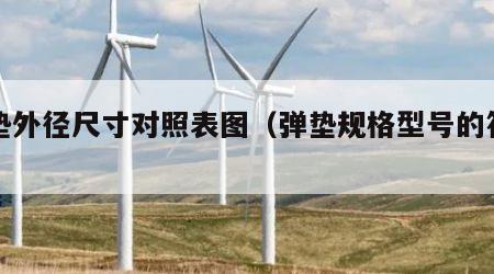 弹垫外径尺寸对照表图（弹垫规格型号的符号）