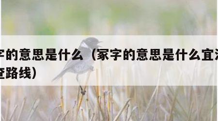 冢字的意思是什么（冢字的意思是什么宜涪高铁查路线）