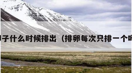 卵子什么时候排出（排卵每次只排一个吗）