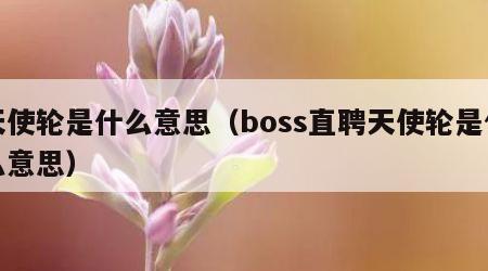 天使轮是什么意思（boss直聘天使轮是什么意思）