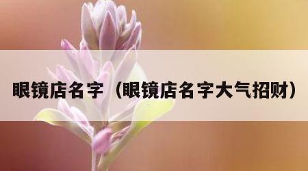 眼镜店名字（眼镜店名字大气招财）
