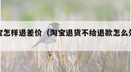淘宝怎样退差价（淘宝退货不给退款怎么处理）