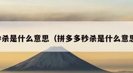 秒杀是什么意思（拼多多秒杀是什么意思）