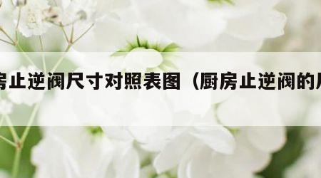 厨房止逆阀尺寸对照表图（厨房止逆阀的尺寸）