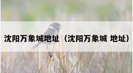 沈阳万象城地址（沈阳万象城 地址）