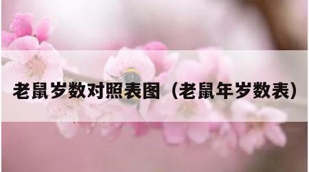 老鼠岁数对照表图（老鼠年岁数表）
