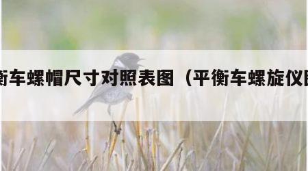 平衡车螺帽尺寸对照表图（平衡车螺旋仪图片）