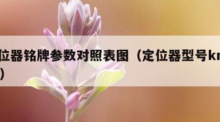定位器铭牌参数对照表图（定位器型号km220）