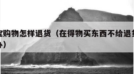 淘宝购物怎样退货（在得物买东西不给退货怎么办）