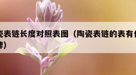 陶瓷表链长度对照表图（陶瓷表链的表有什么品牌）