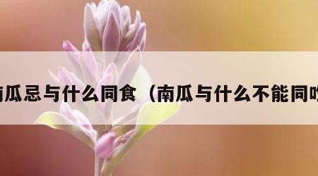 南瓜忌与什么同食（南瓜与什么不能同吃）