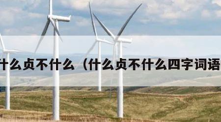 什么贞不什么（什么贞不什么四字词语）