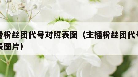 主播粉丝团代号对照表图（主播粉丝团代号对照表图片）