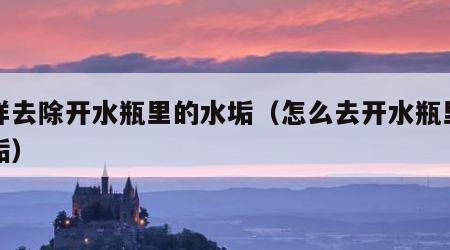 怎样去除开水瓶里的水垢（怎么去开水瓶里的污垢）