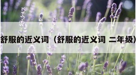 舒服的近义词（舒服的近义词 二年级）