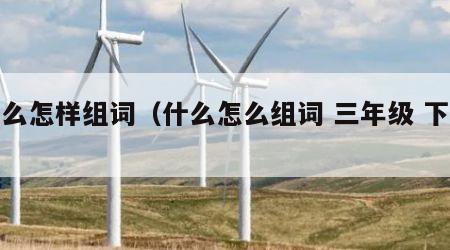 什么怎样组词（什么怎么组词 三年级 下册）
