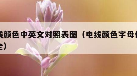 电线颜色中英文对照表图（电线颜色字母代号大全）