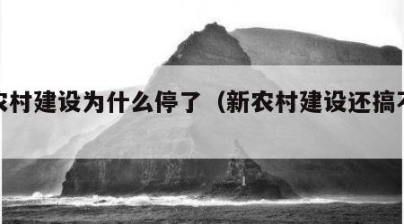 新农村建设为什么停了（新农村建设还搞不搞）