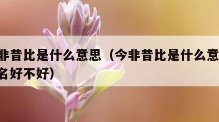 今非昔比是什么意思（今非昔比是什么意思,网名好不好）