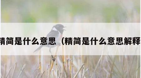 精简是什么意思（精简是什么意思解释）