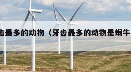 牙齿最多的动物（牙齿最多的动物是蜗牛吗?）