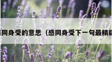 感同身受的意思（感同身受下一句最精辟）