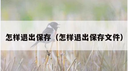 怎样退出保存（怎样退出保存文件）