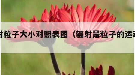 辐射粒子大小对照表图（辐射是粒子的运动吗）
