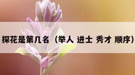 探花是第几名（举人 进士 秀才 顺序）