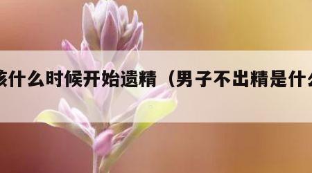 男孩什么时候开始遗精（男子不出精是什么原因）
