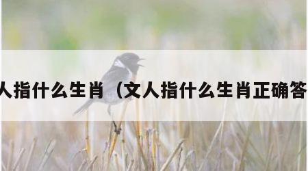 文人指什么生肖（文人指什么生肖正确答案）