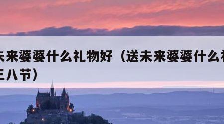 送未来婆婆什么礼物好（送未来婆婆什么礼物好三八节）