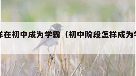 怎样在初中成为学霸（初中阶段怎样成为学霸）