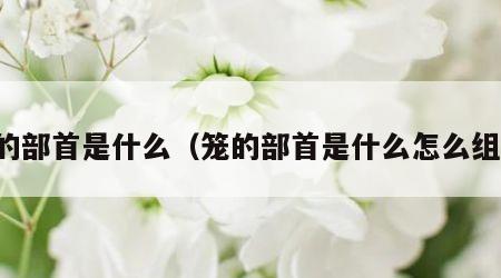 笼的部首是什么（笼的部首是什么怎么组词）