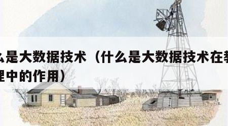 什么是大数据技术（什么是大数据技术在教育管理中的作用）
