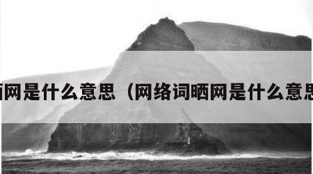 晒网是什么意思（网络词晒网是什么意思）