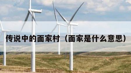 传说中的面家村（面家是什么意思）