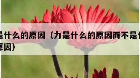 力是什么的原因（力是什么的原因而不是什么的原因）