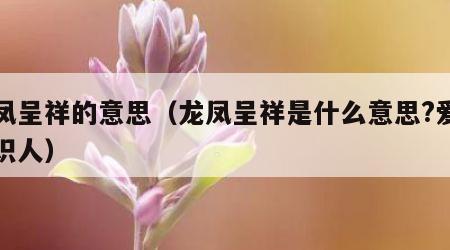龙凤呈祥的意思（龙凤呈祥是什么意思?爱问知识人）