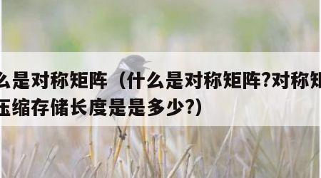 什么是对称矩阵（什么是对称矩阵?对称矩阵的压缩存储长度是是多少?）