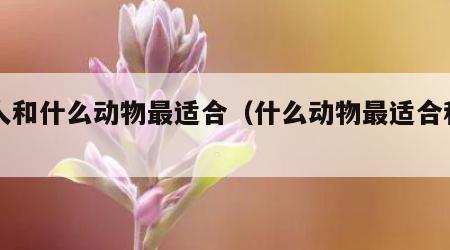 女人和什么动物最适合（什么动物最适合和男人）