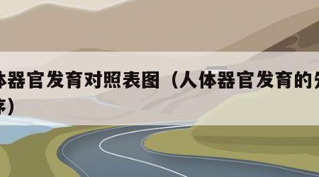 人体器官发育对照表图（人体器官发育的先后顺序）