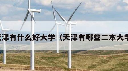 天津有什么好大学（天津有哪些二本大学）