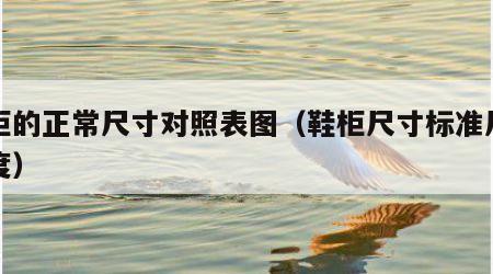 鞋柜的正常尺寸对照表图（鞋柜尺寸标准尺寸高度）