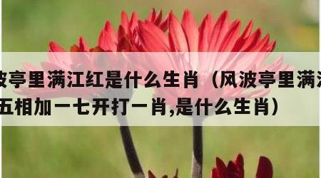 风波亭里满江红是什么生肖（风波亭里满江红,二五相加一七开打一肖,是什么生肖）
